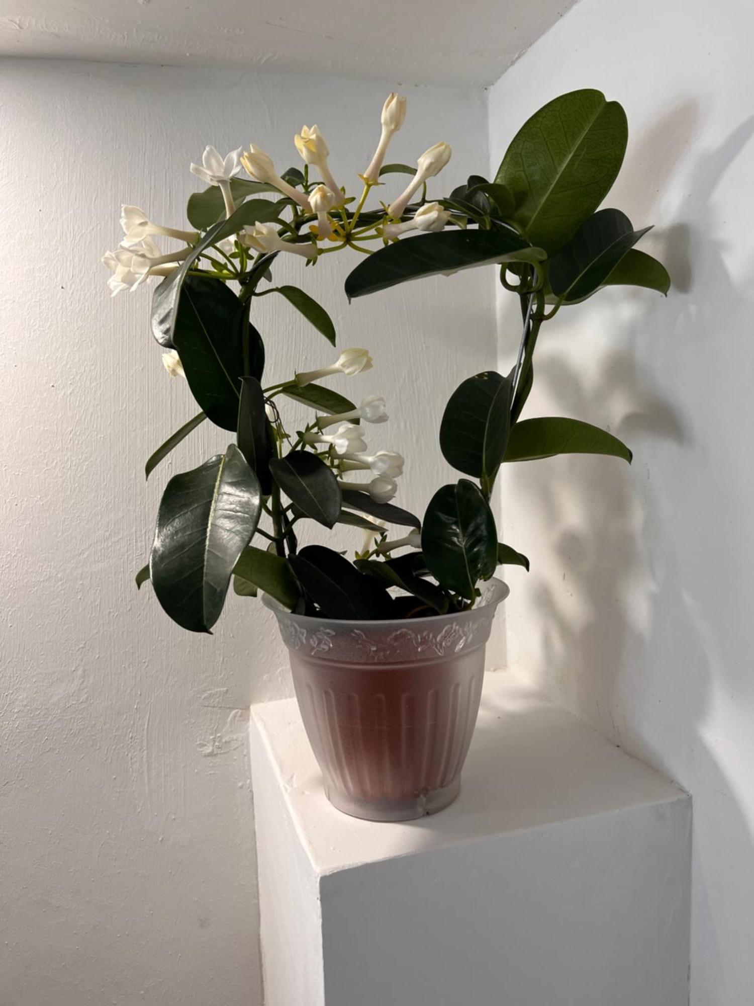 多尔加利Urban Charme Loft公寓 外观 照片